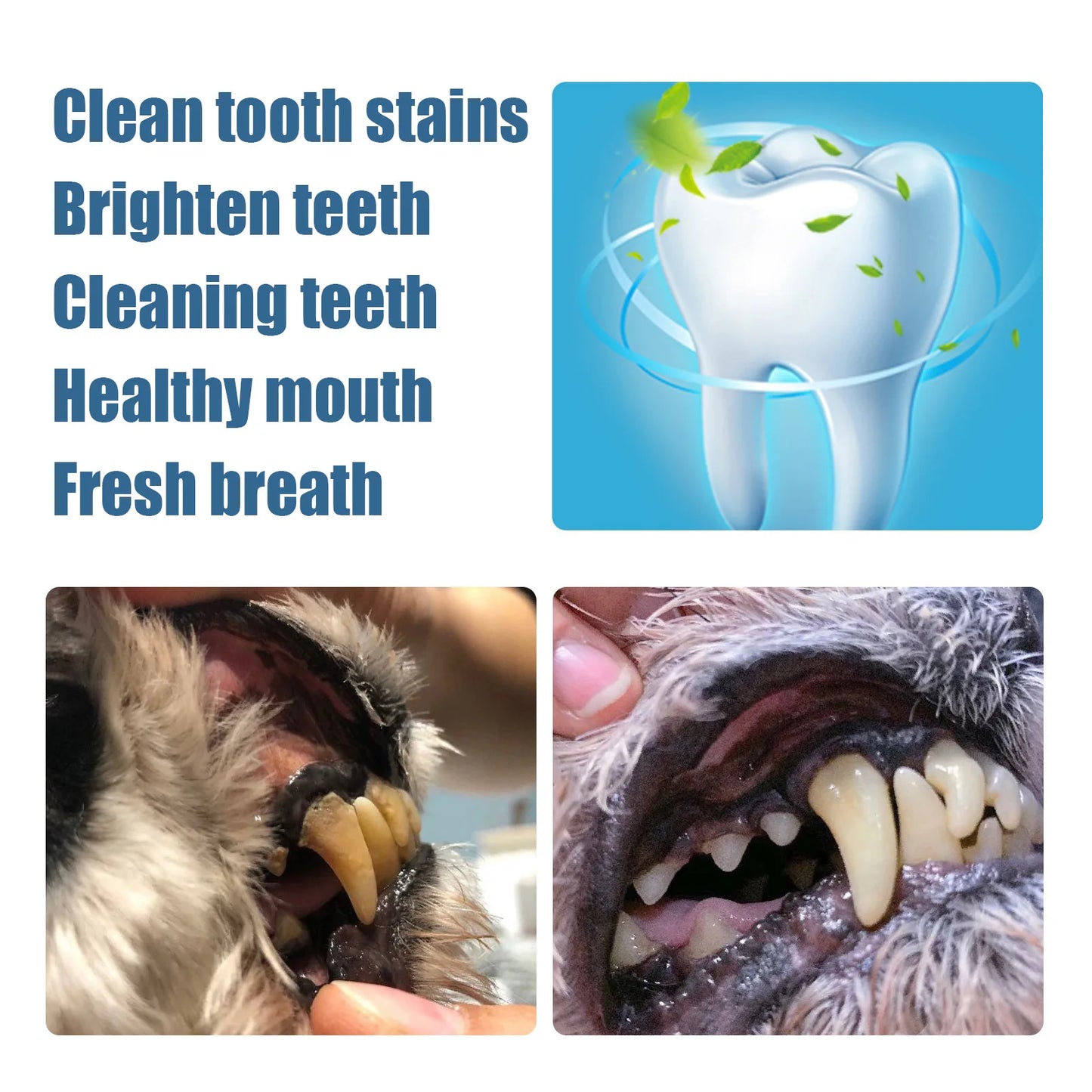 Yegbong-2Pieces In 1Box Of Mini Silicone Pet Tongue Brush And Toothbrush Or Pet Dental Pens-Oral Cleaning Health Care, Soft And Not Hurt Teeth For Dogs