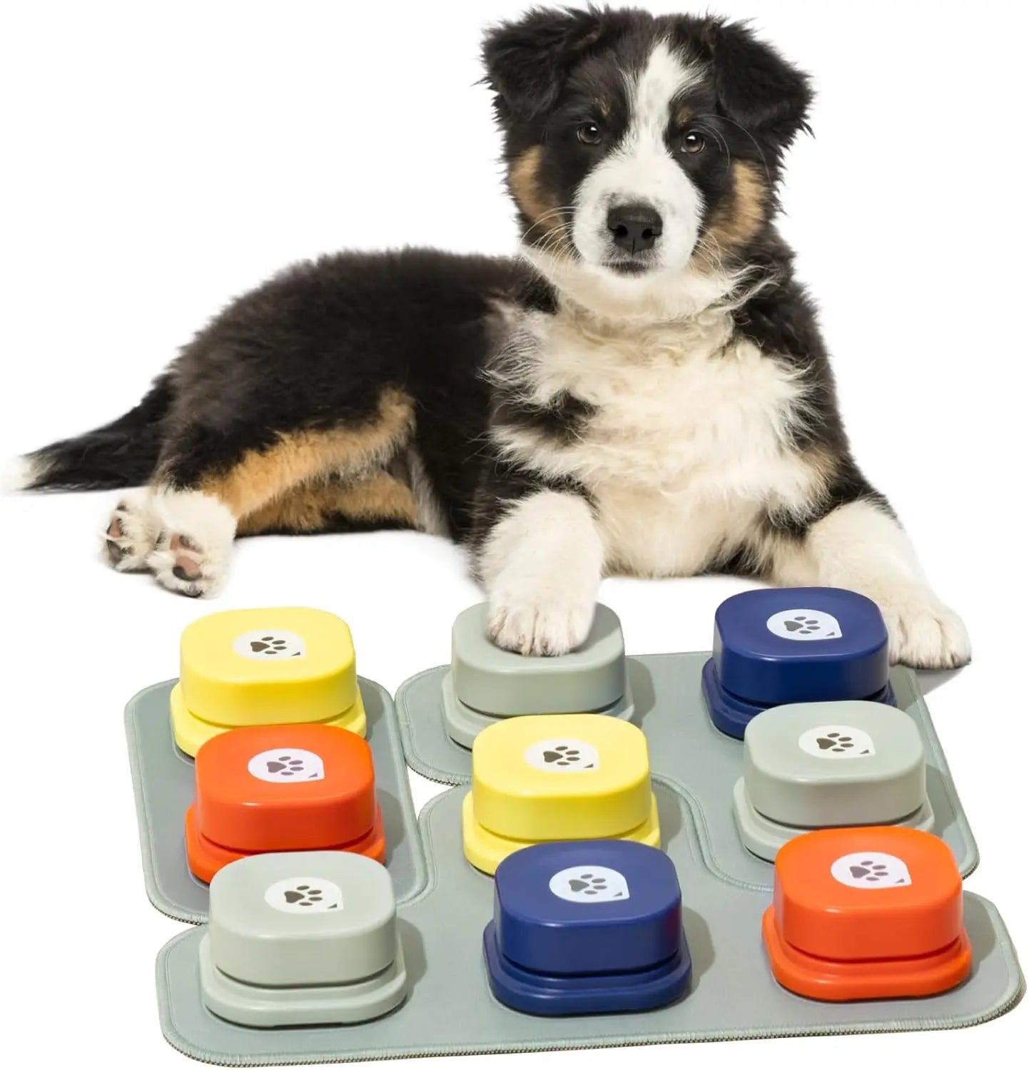 MeWooFun Dog Buttons-The Fun And Easy Way To Teach Your Dog To "Speak"