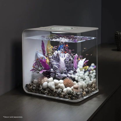 8-Gallon Aquarium with White LED Lights For Tabletop Display