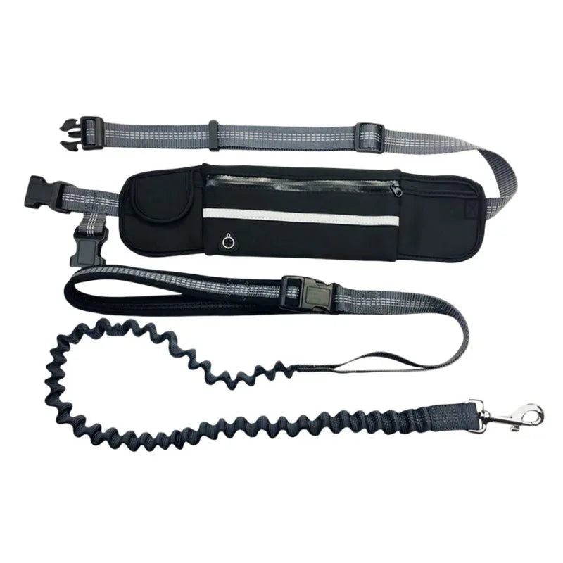 Reflective Hand Free Leash and Waist Bag For Small-Medium Dogs Under 50Lbs