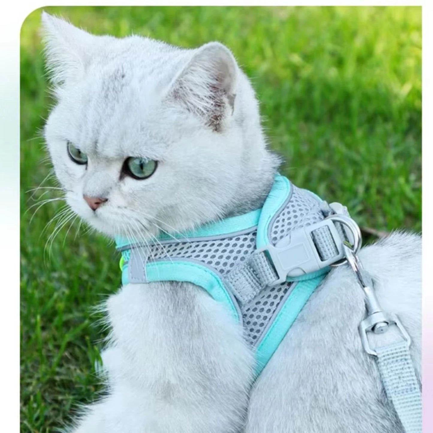 Harness Vest and Leash Set Adjustable For Small Dog & Cat