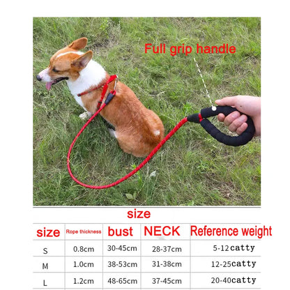 Durable, Heavy-duty, Safety  Rope for Dog - Secure, High-quality Comfort