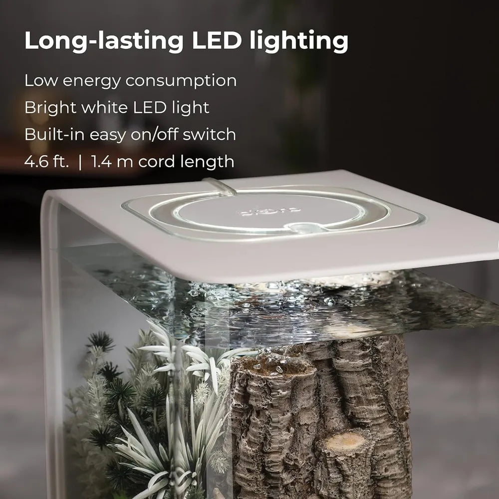 8-Gallon Aquarium with White LED Lights For Tabletop Display