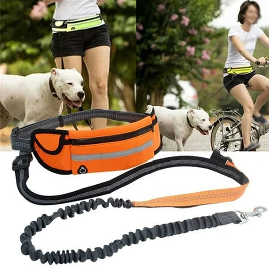 Reflective Hand Free Leash and Waist Bag For Small-Medium Dogs Under 50Lbs