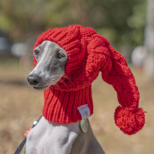 Winter Knitted Wool Hat for Dogs