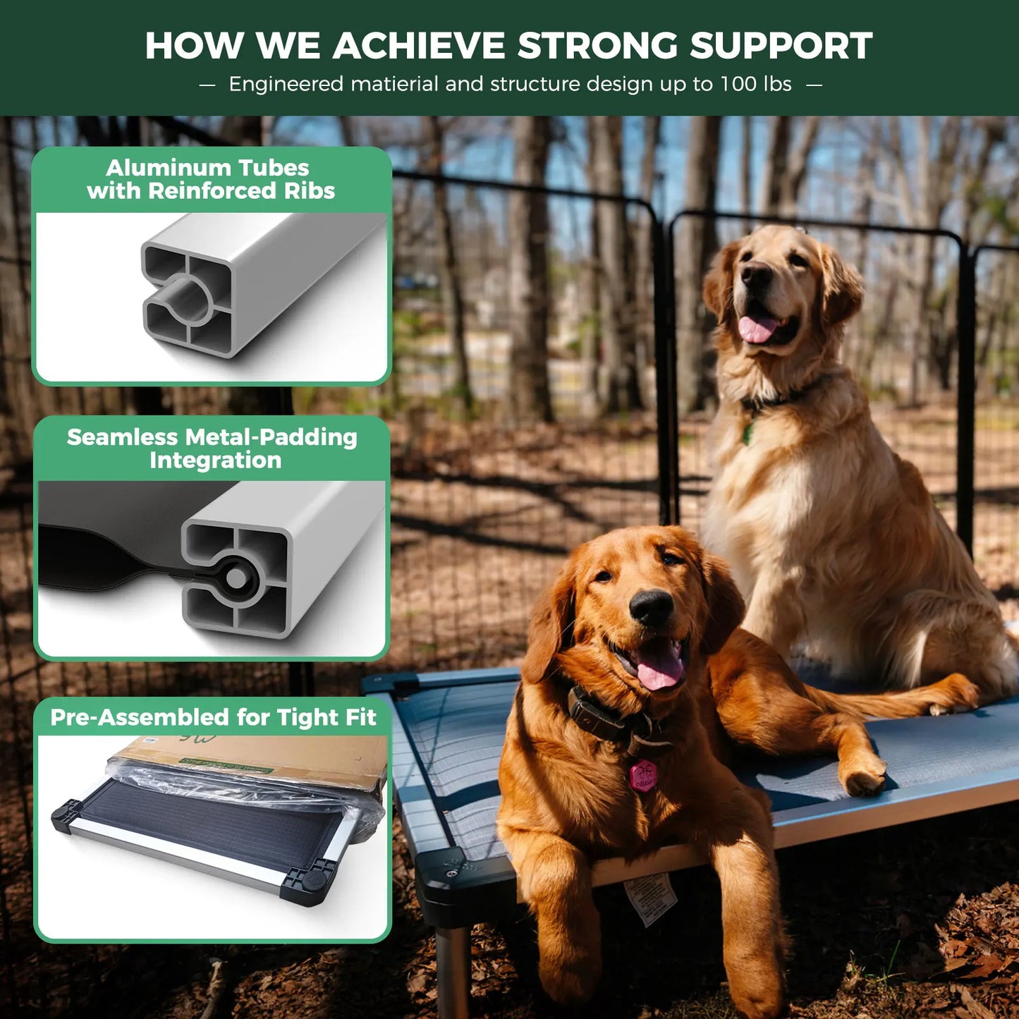 FXW Titanest : Durable, Chew-Proof, and Washable Dog Bed For Any Adventure