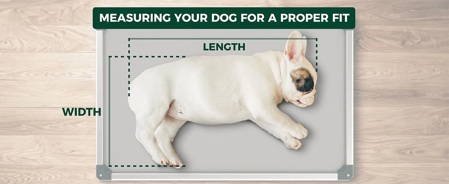 FXW Titanest : Durable, Chew-Proof, and Washable Dog Bed For Any Adventure