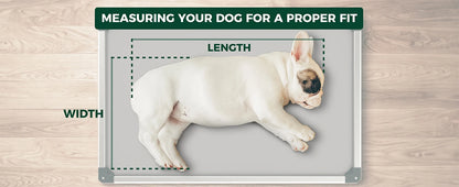 FXW Titanest : Durable, Chew-Proof, and Washable Dog Bed For Any Adventure