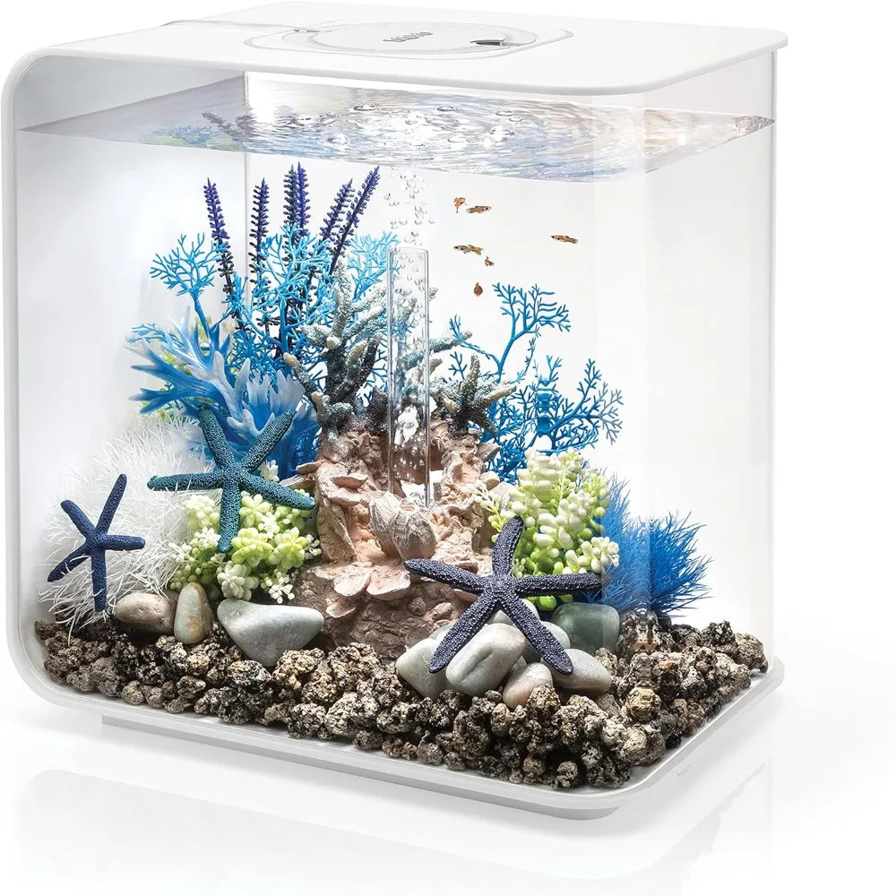 8-Gallon Aquarium with White LED Lights For Tabletop Display