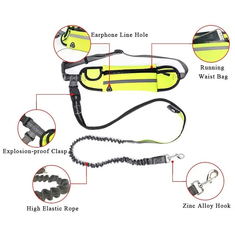 Reflective Hand Free Leash and Waist Bag For Small-Medium Dogs Under 50Lbs