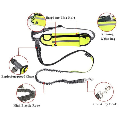 Reflective Hand Free Leash and Waist Bag For Small-Medium Dogs Under 50Lbs