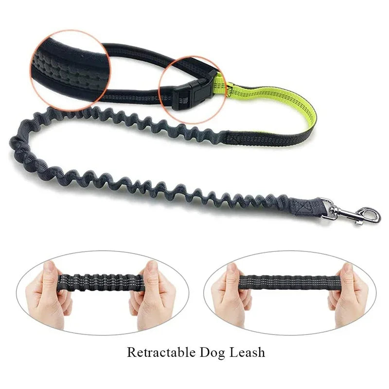 Reflective Hand Free Leash and Waist Bag For Small-Medium Dogs Under 50Lbs