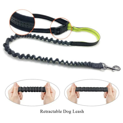 Reflective Hand Free Leash and Waist Bag For Small-Medium Dogs Under 50Lbs