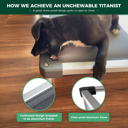 FXW Titanest : Durable, Chew-Proof, and Washable Dog Bed For Any Adventure
