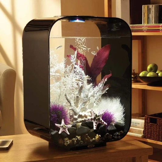 4-Gallon Aquarium With Multi-Color Remote-Controlled LED For Desktop