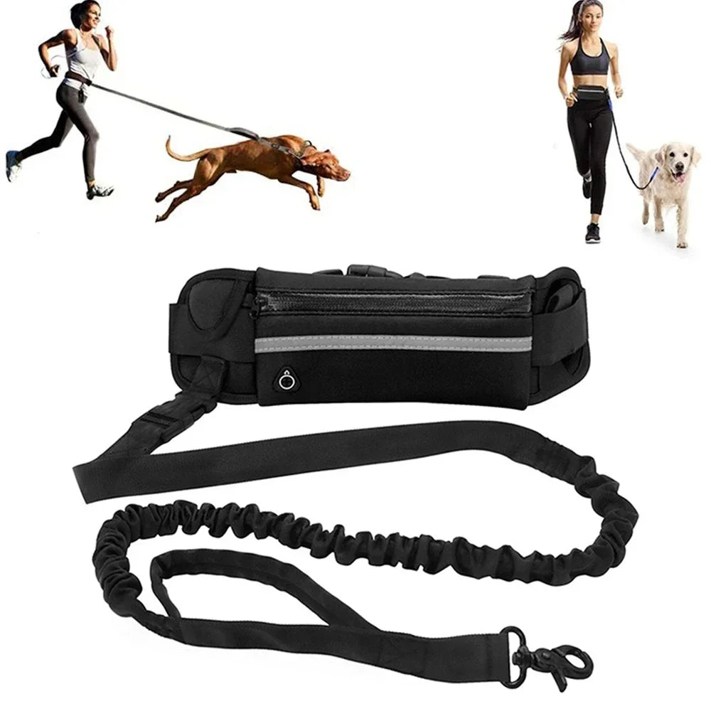 Hands Free Dog Leash Retractable elastic With Waist Bag for Running & Walking