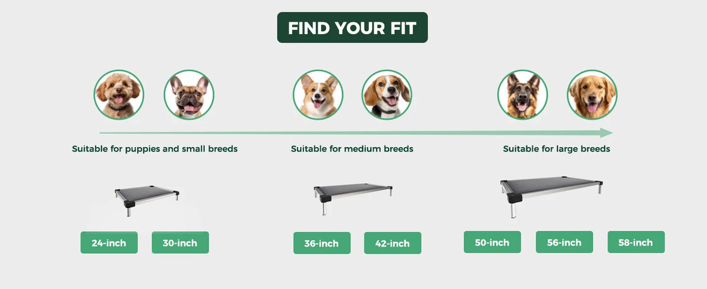 FXW Titanest : Durable, Chew-Proof, and Washable Dog Bed For Any Adventure