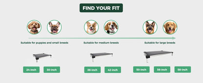 FXW Titanest : Durable, Chew-Proof, and Washable Dog Bed For Any Adventure