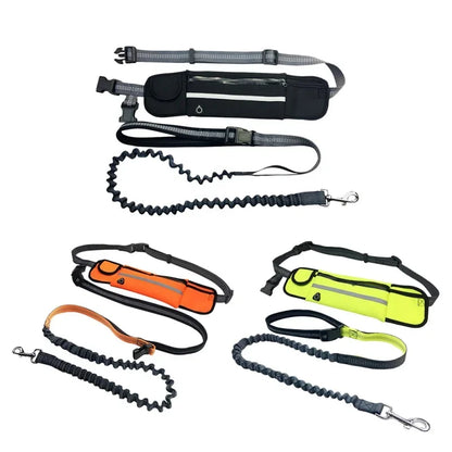 Reflective Hand Free Leash and Waist Bag For Small-Medium Dogs Under 50Lbs